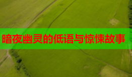 暗夜幽灵的低语与惊悚故事