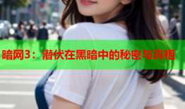 暗网3：潜伏在黑暗中的秘密与真相
