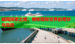 暗网探索之旅：揭秘隐秘世界的奇妙与危险