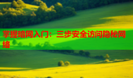 掌握暗网入门：三步安全访问隐秘网络