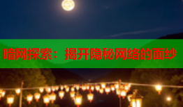 暗网探索：揭开隐秘网络的面纱