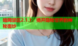 暗网禁区2.1.1：揭开隐秘世界的神秘面纱