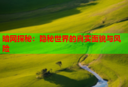 暗网探秘：隐秘世界的真实面貌与风险