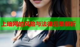 上暗网的风险与法律后果解析