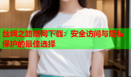 丝绸之路暗网下载：安全访问与隐私保护的最佳选择