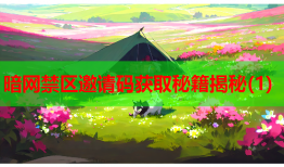暗网禁区邀请码获取秘籍揭秘(1)
