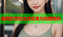 暗网犯罪的法律后果与刑期揭秘