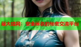 最大暗网：安全匿名的秘密交流平台