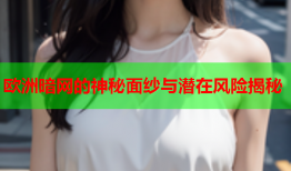 欧洲暗网的神秘面纱与潜在风险揭秘