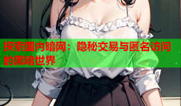 探索国内暗网：隐秘交易与匿名访问的黑暗世界