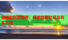 暗网的秘密世界：探索隐秘交易与真实风险