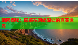 暗网揭秘：隐藏在网络深处的真实世界