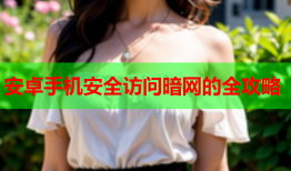 安卓手机安全访问暗网的全攻略