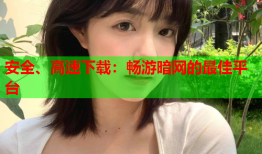 安全、高速下载：畅游暗网的最佳平台