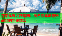 探索丝绸之路暗网：匿名交易与隐秘商品的完美结合