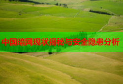 中国暗网现状揭秘与安全隐患分析