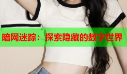 暗网迷踪：探索隐藏的数字世界