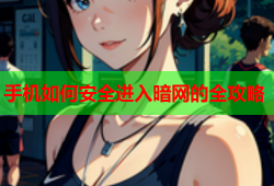 手机如何安全进入暗网的全攻略