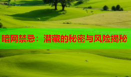 暗网禁忌：潜藏的秘密与风险揭秘