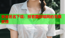 安全匿名下载：探索国际暗网的无限资源