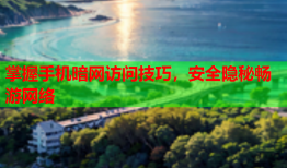 掌握手机暗网访问技巧，安全隐秘畅游网络
