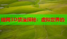 暗网3D禁漫探秘：虚拟世界的