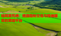 暗网黑死病：揭露隐秘交易与极端服务的黑暗平台