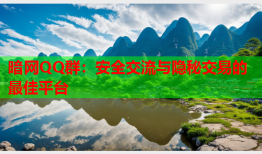 暗网QQ群：安全交流与隐秘交易的最佳平台