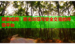 探索暗网：匿名浏览与安全交易的终极平台