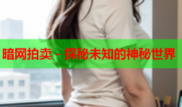 暗网拍卖 - 探秘未知的神秘世界