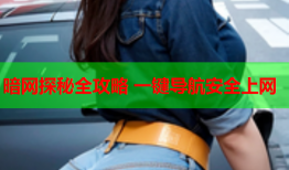 暗网探秘全攻略 一键导航安全上网