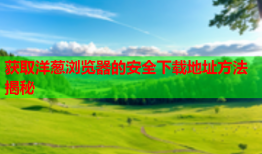 获取洋葱浏览器的安全下载地址方法揭秘