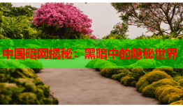 中国暗网揭秘：黑暗中的隐秘世界