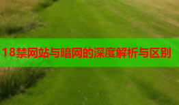 18禁网站与暗网的深度解析与区别