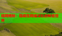 暗网揭秘：隐藏在网络深处的秘密世界