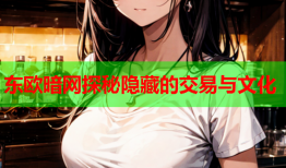 东欧暗网探秘隐藏的交易与文化