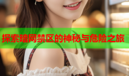 探索暗网禁区的神秘与危险之旅