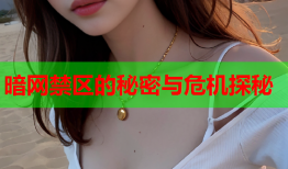 暗网禁区的秘密与危机探秘
