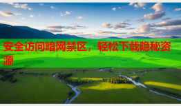 安全访问暗网禁区，轻松下载隐秘资源