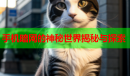 手机暗网的神秘世界揭秘与探索
