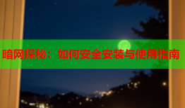 暗网探秘：如何安全安装与使用指南