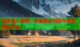 直接进入暗网：安全匿名浏览与信息获取平台