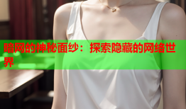 暗网的神秘面纱：探索隐藏的网络世界