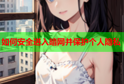 如何安全进入暗网并保护个人隐私