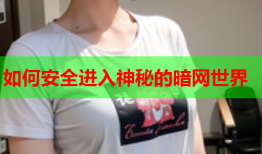 如何安全进入神秘的暗网世界