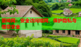 爱呦网：安全访问暗网，保护隐私与信息安全