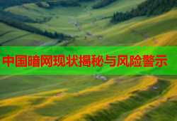 中国暗网现状揭秘与风险警示