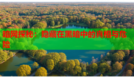 暗网探秘：隐藏在黑暗中的真相与危险