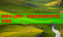 暗网冰山揭秘：潜藏在黑暗中的真相与危机