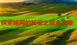 探索暗网的秘密之旅全攻略